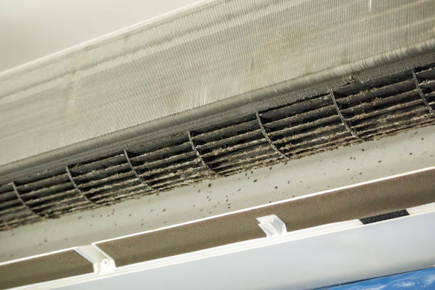 Best Home Air Vent Cleaning  in Hillsboro, WI
